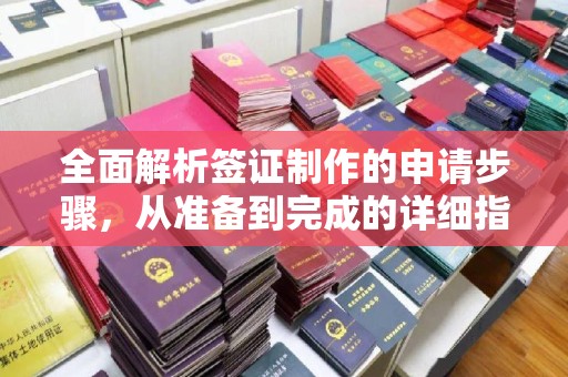 兴山全面解析签证制作的申请步骤，从准备到完成的详细指南